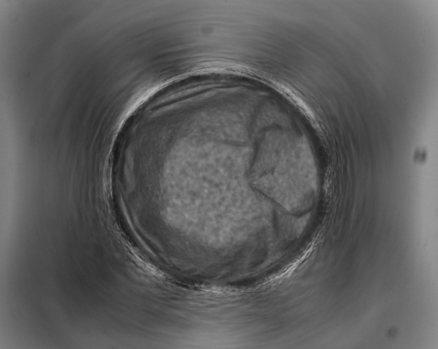 X0000097920877200804041521