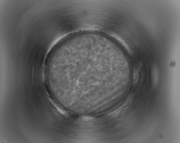 X0000097920878200804041521