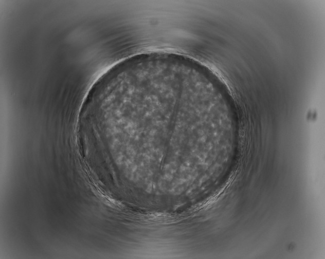 X0000097920879200804041521