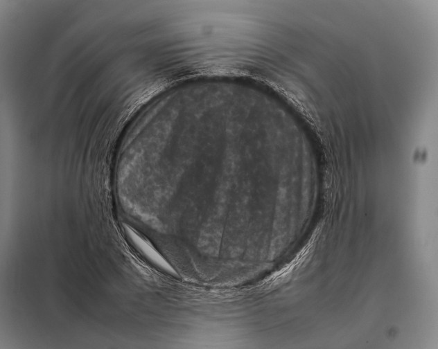 X0000097920881200804041521