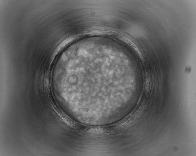 X0000097920882200804041521