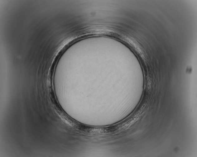 X0000097920883200804041521