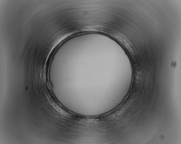 X0000097920884200804041521