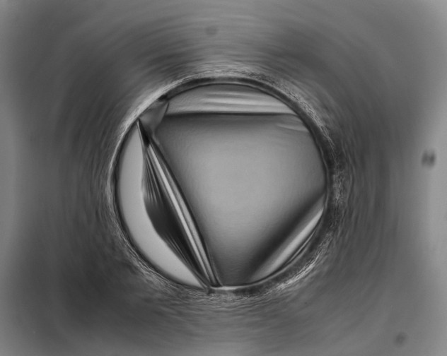 X0000097920885200804041521