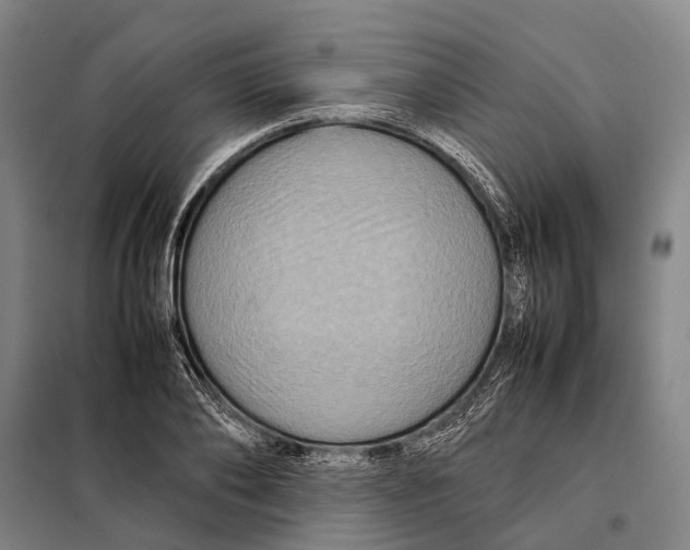 X0000097920886200804041521