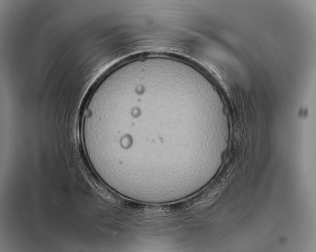 X0000097920887200804041521