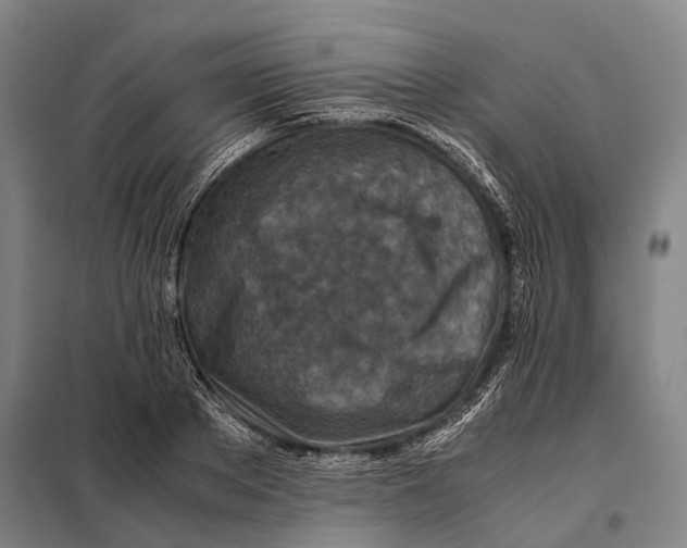 X0000097920889200804041521