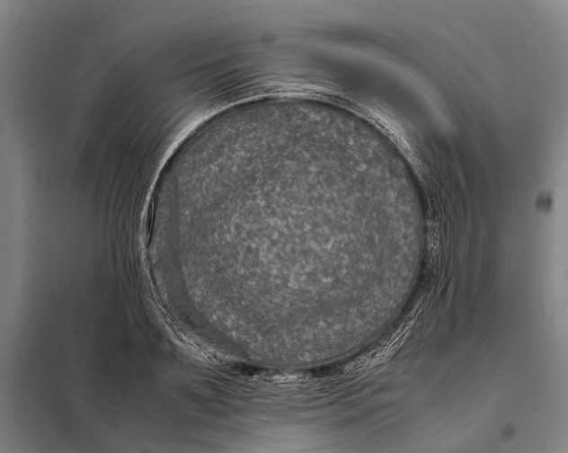 X0000097920891200804041521