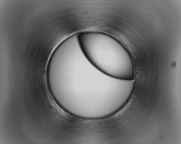 X0000097920892200804041521