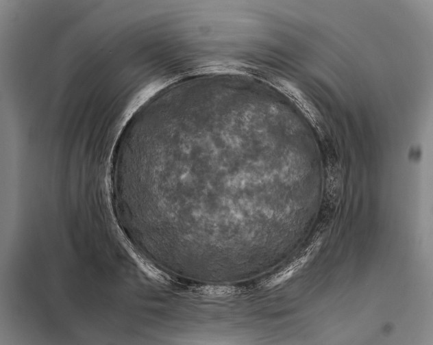 X0000097920893200804041521