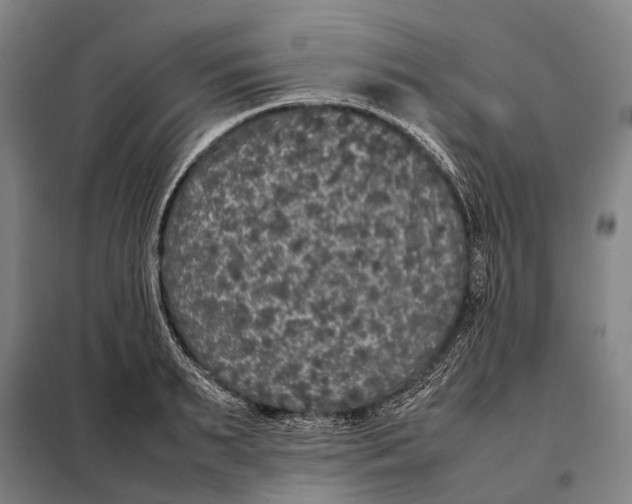 X0000097920895200804041521