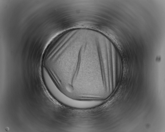 X0000097920896200804041521