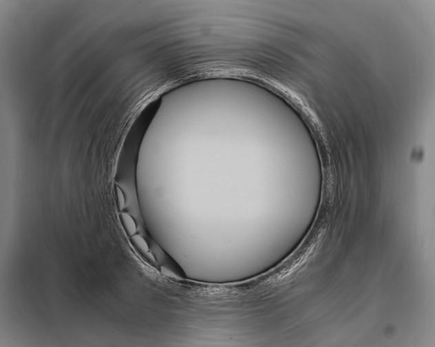 X0000097920897200804041521