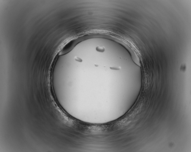 X0000097920898200804041521