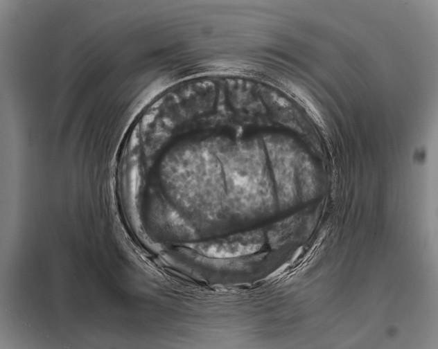 X0000097920899200804041521