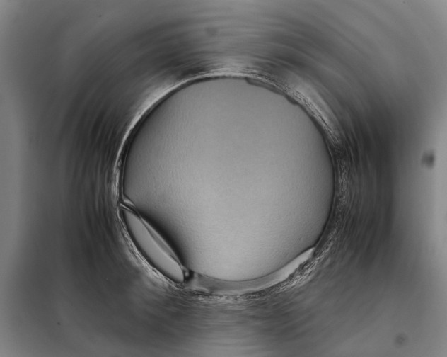 X0000097920900200804041521