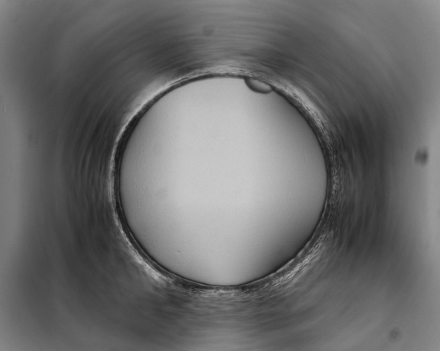 X0000097920902200804041521