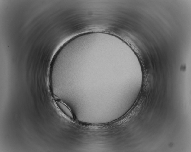 X0000097920904200804041521