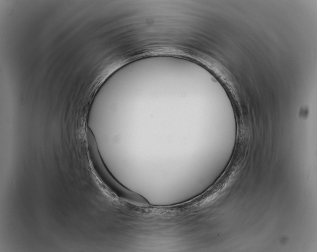 X0000097920905200804041521