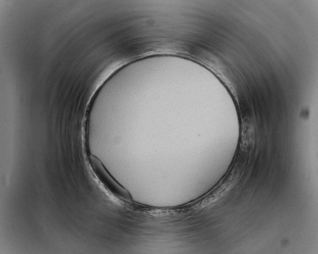 X0000097920906200804041521