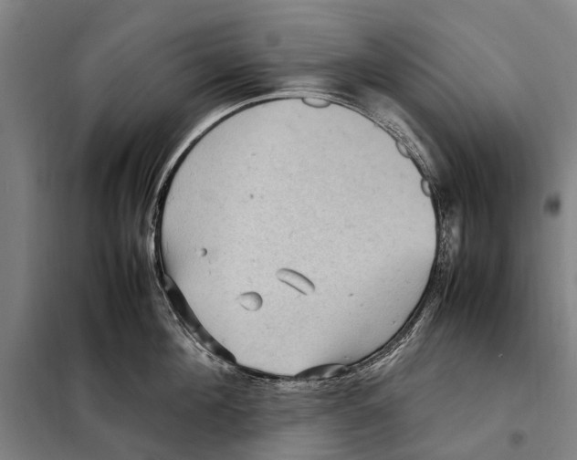 X0000097920908200804041521