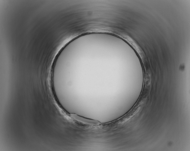 X0000097920909200804041521