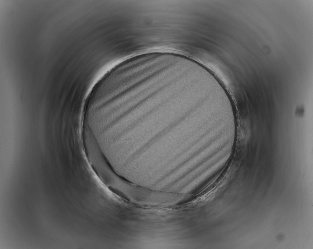 X0000097920910200804041521