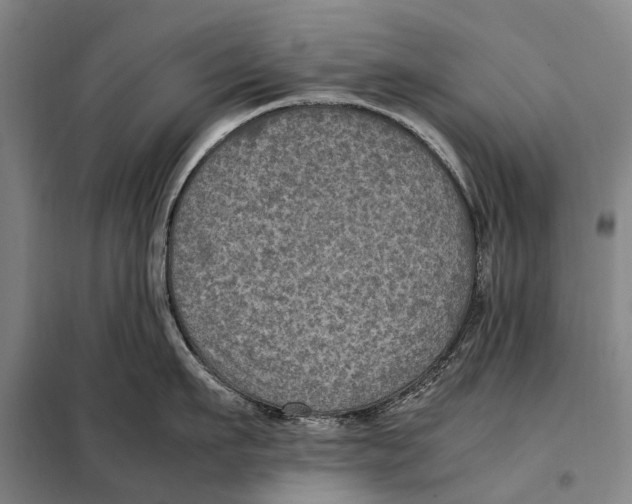 X0000097920911200804041521