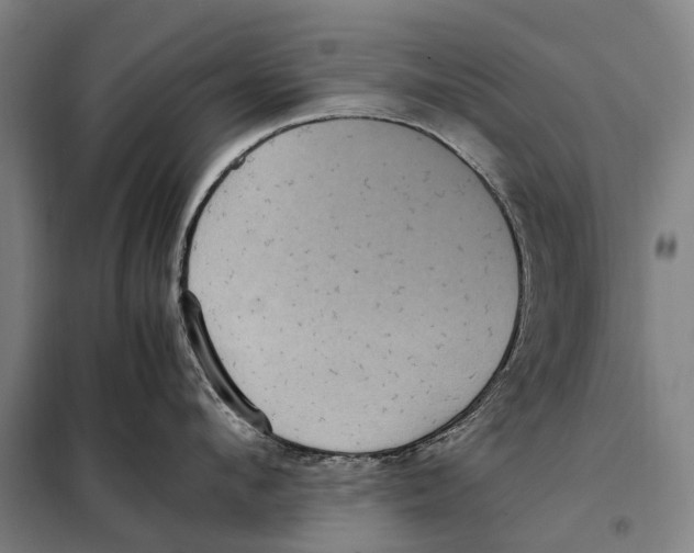 X0000097920912200804041521