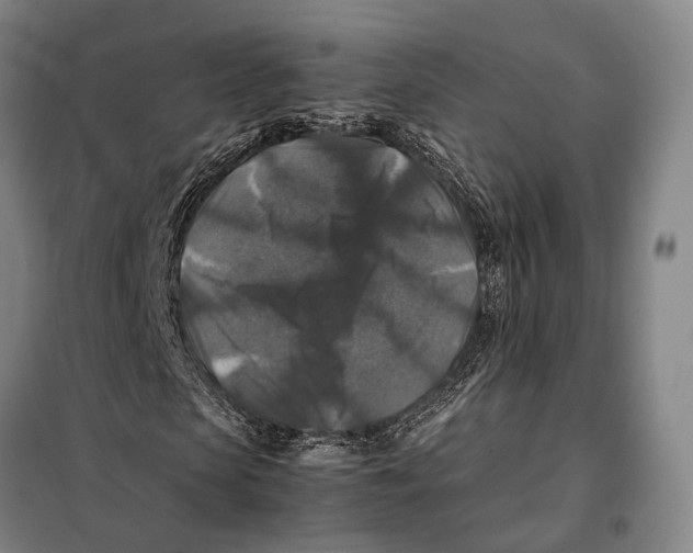 X0000097920913200804041520