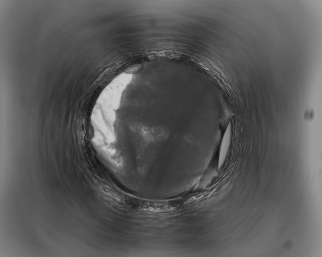 X0000097920915200804041520