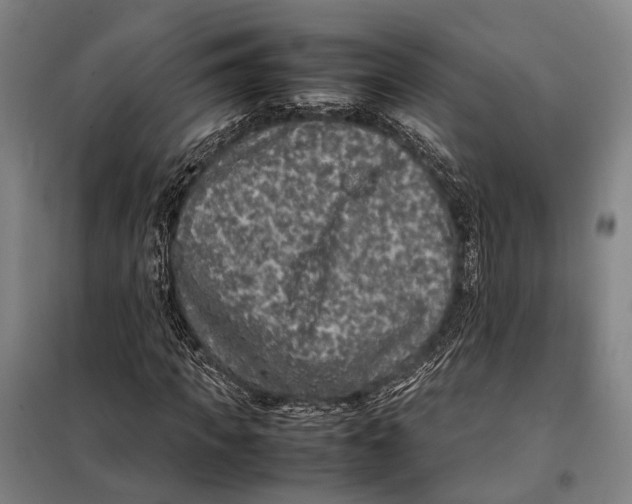 X0000097920917200804041520