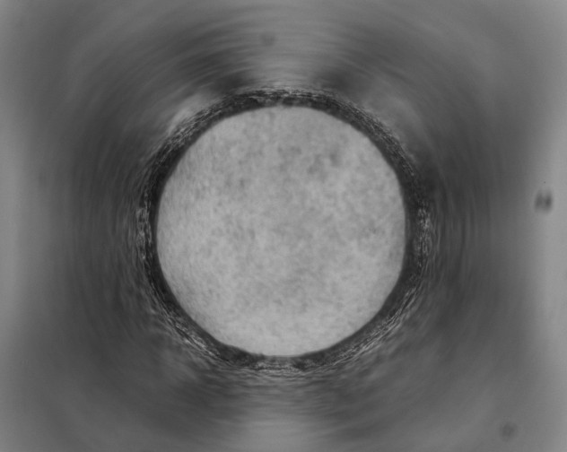 X0000097920918200804041520