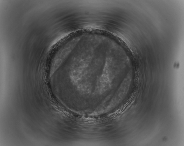 X0000097920919200804041520