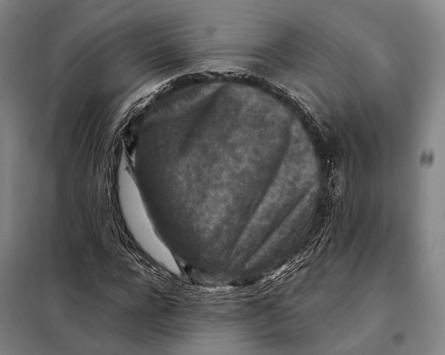 X0000097920920200804041520