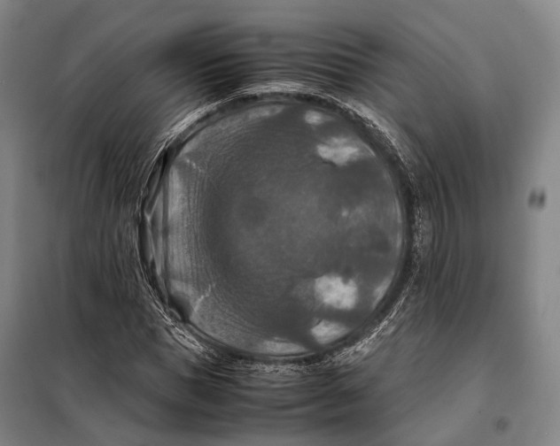 X0000097920921200804041520