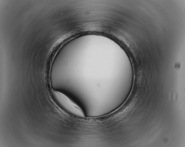 X0000097920922200804041520