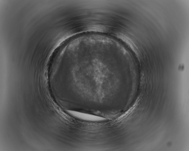 X0000097920923200804041520