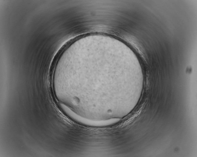 X0000097920924200804041520