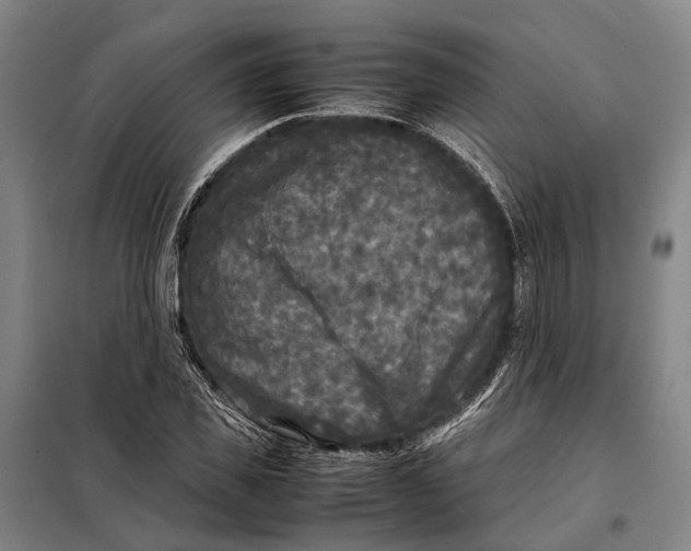 X0000097920925200804041520