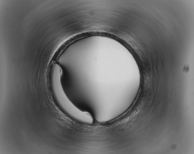 X0000097920926200804041520