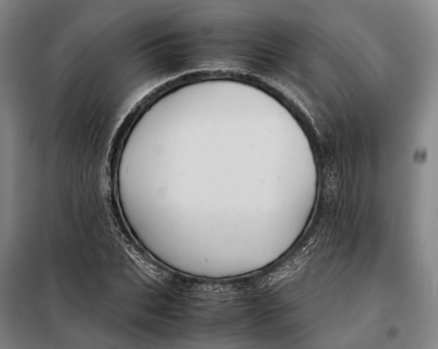 X0000097920927200804041520