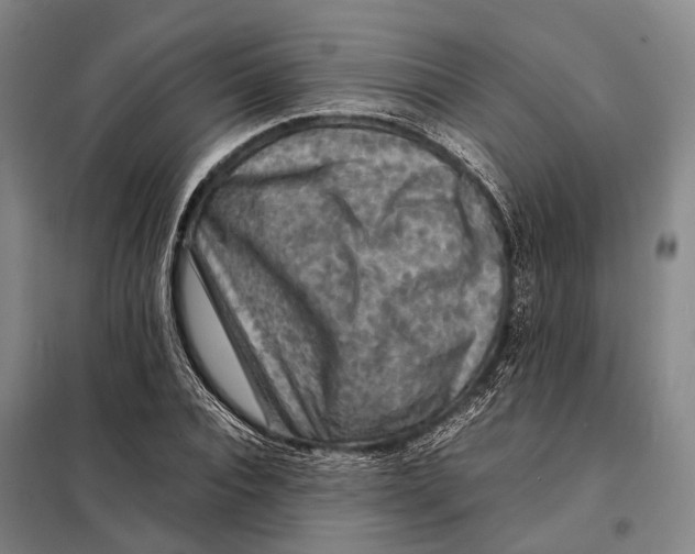 X0000097920928200804041521