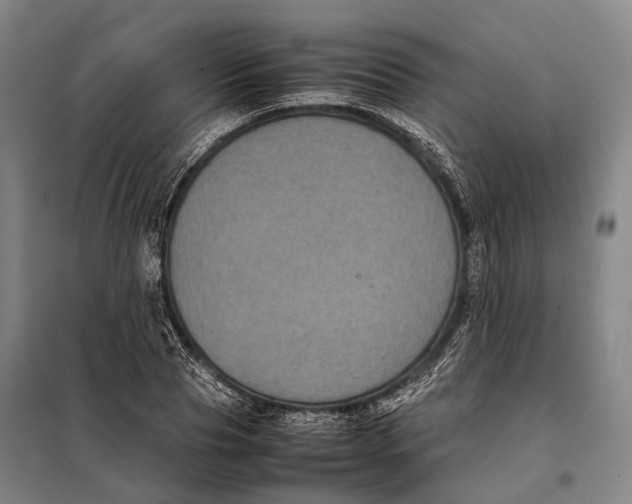 X0000097920929200804041521