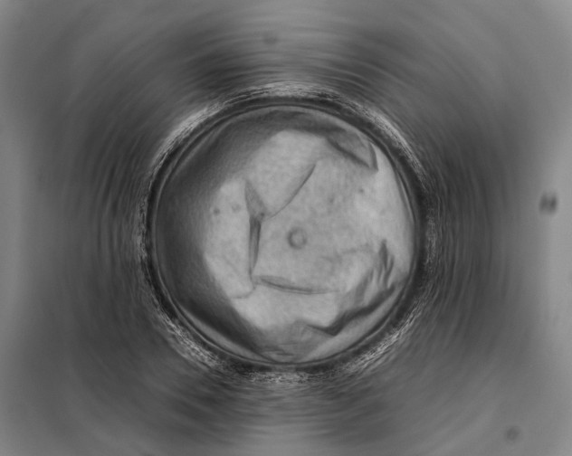 X0000097920930200804041521