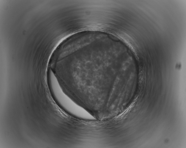 X0000097920932200804041521