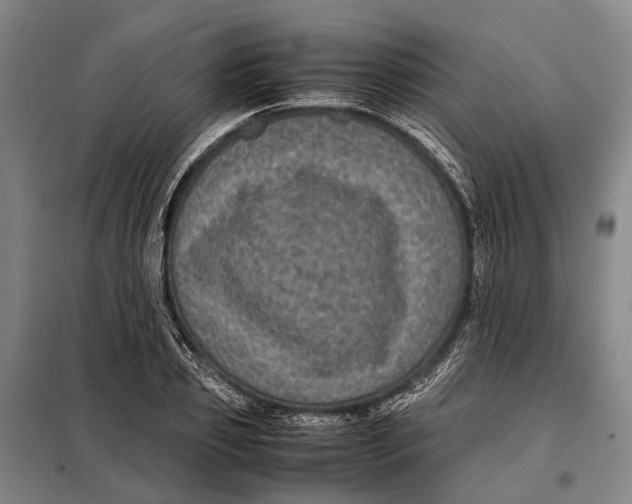 X0000097920933200804041521