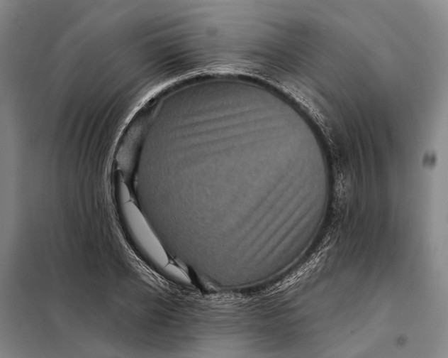 X0000097920934200804041521