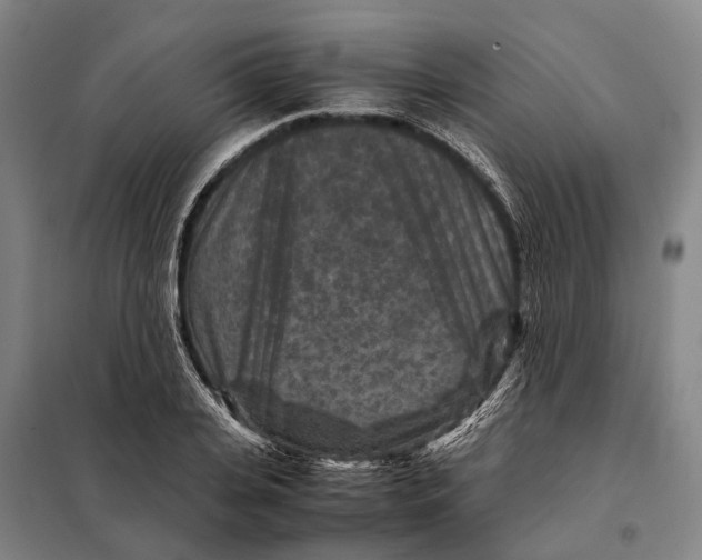 X0000097920935200804041521