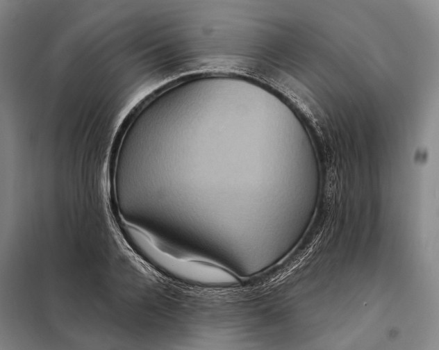 X0000097920936200804041521